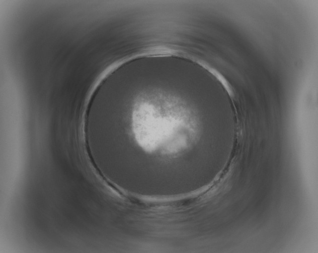 X0000111121477200907070948