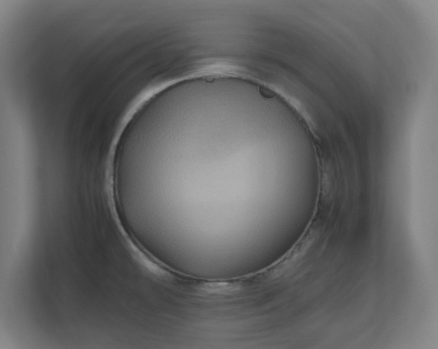 X0000111121478200907070948