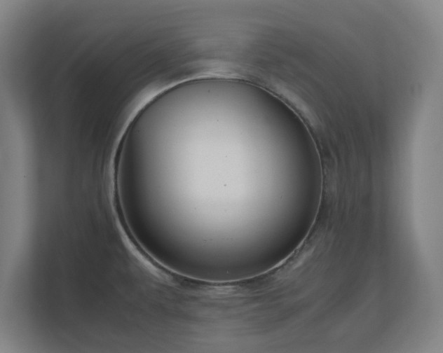 X0000111121479200907070948