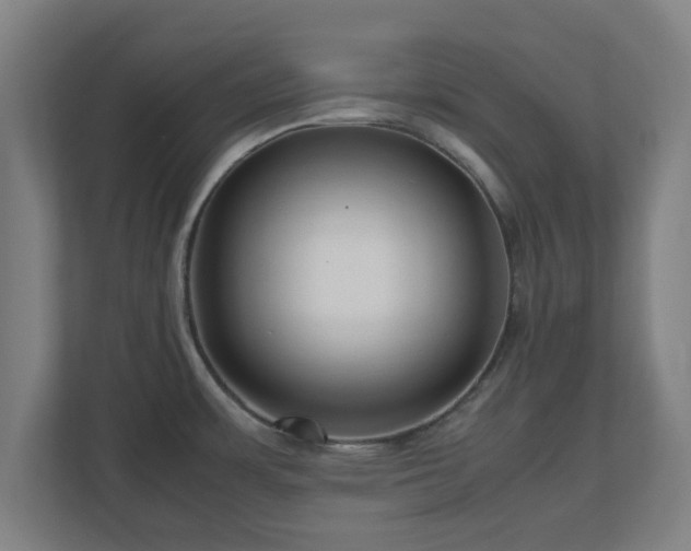 X0000111121483200907070947