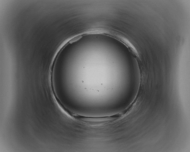 X0000111121484200907070947