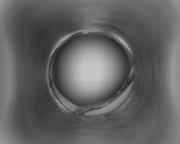 X0000111121485200907070947