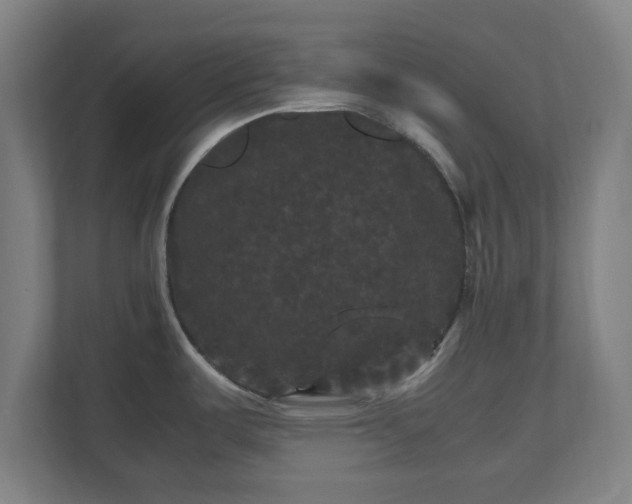 X0000111121487200907070947