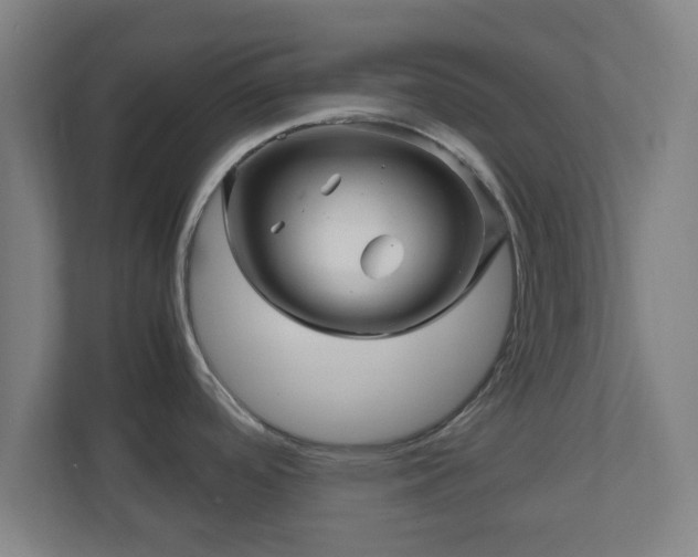 X0000111121488200907070947