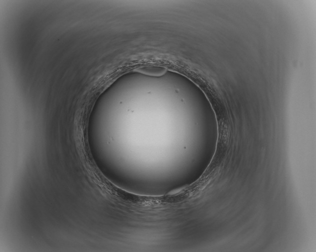 X0000111121489200907070947