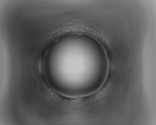 X0000111121490200907070947