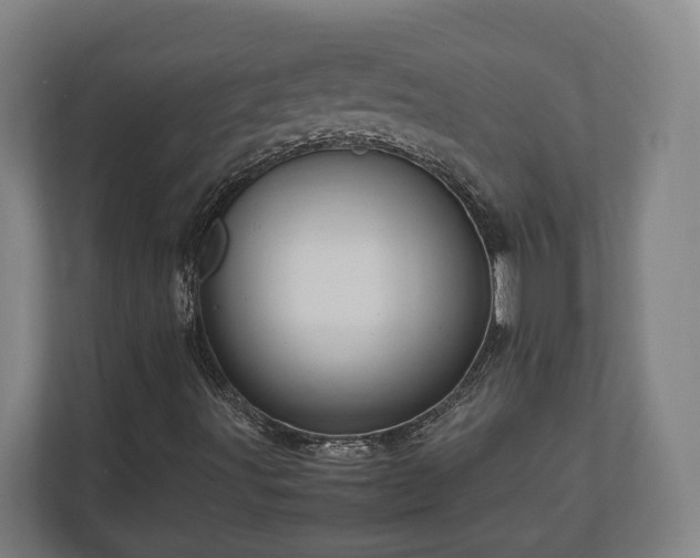 X0000111121491200907070947