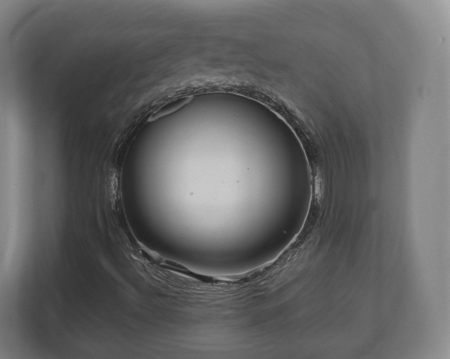 X0000111121492200907070947