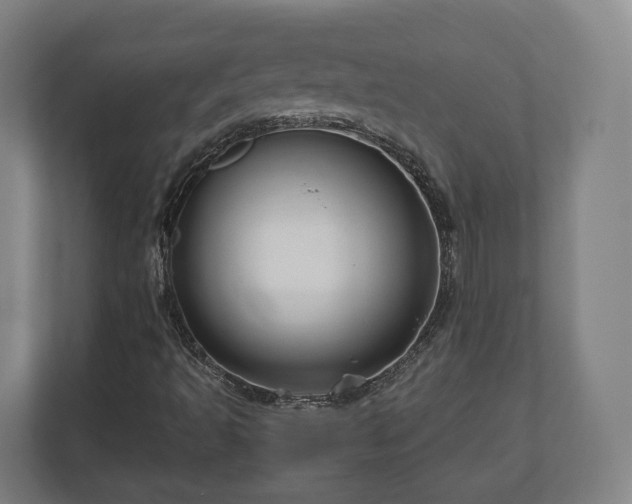 X0000111121493200907070947