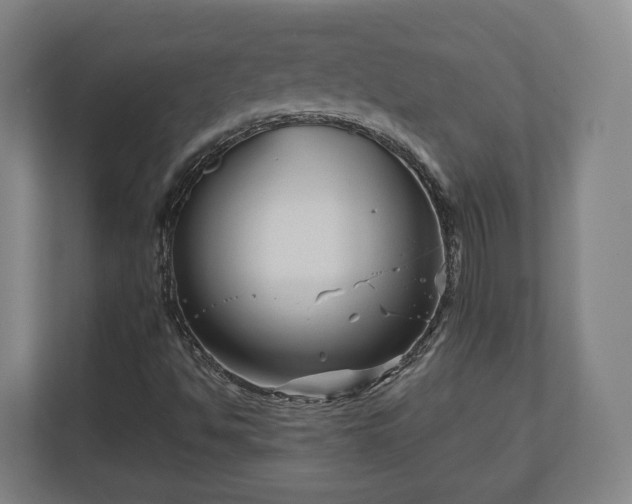 X0000111121494200907070947