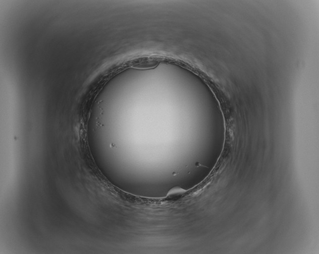 X0000111121495200907070947