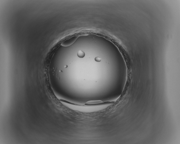 X0000111121496200907070947