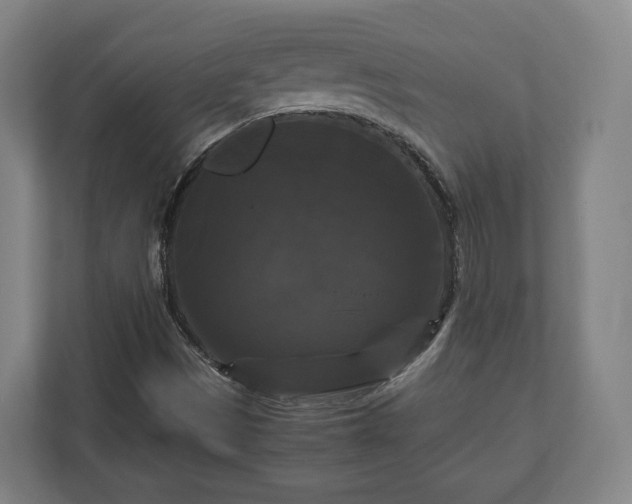 X0000111121497200907070947