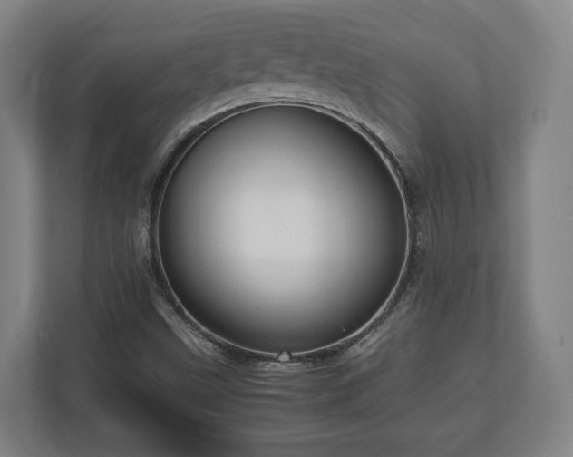 X0000111121499200907070947