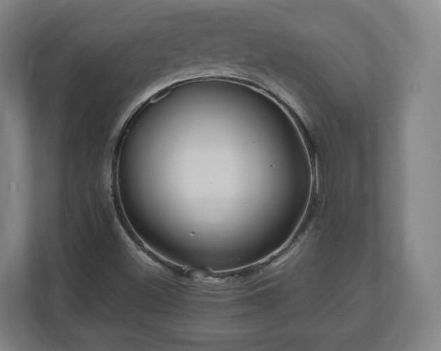 X0000111121500200907070947