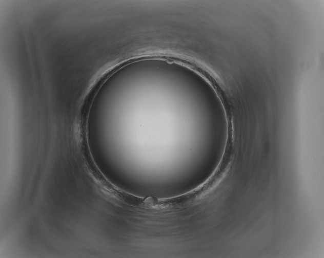 X0000111121501200907070947