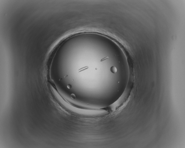 X0000111121502200907070947