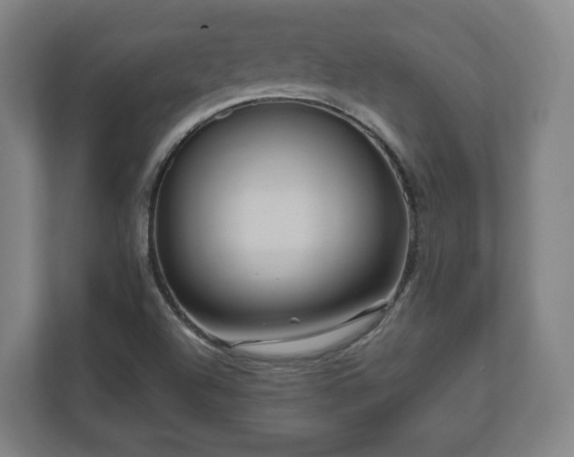 X0000111121504200907070947