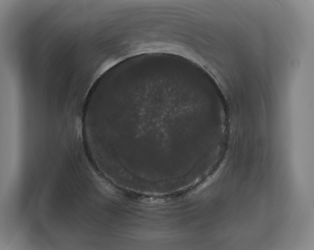 X0000111121505200907070947