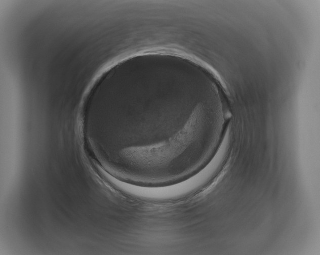 X0000111121506200907070947