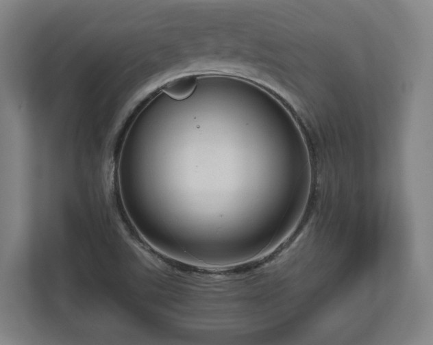 X0000111121507200907070947