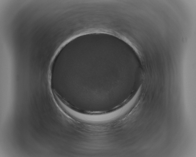 X0000111121508200907070947