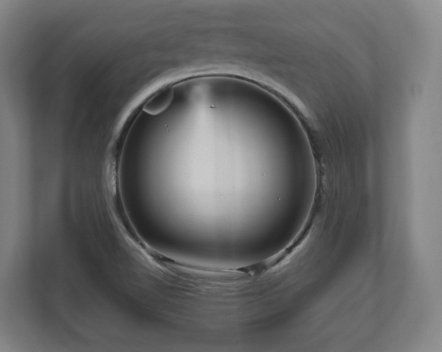 X0000111121510200907070947