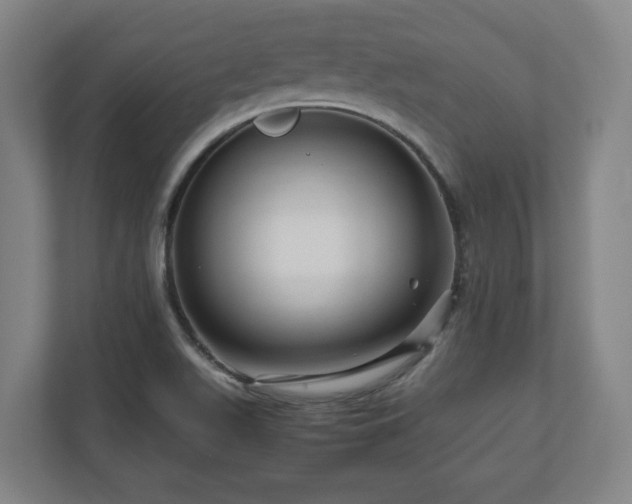 X0000111121511200907070947