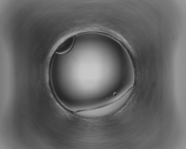 X0000111121512200907070947