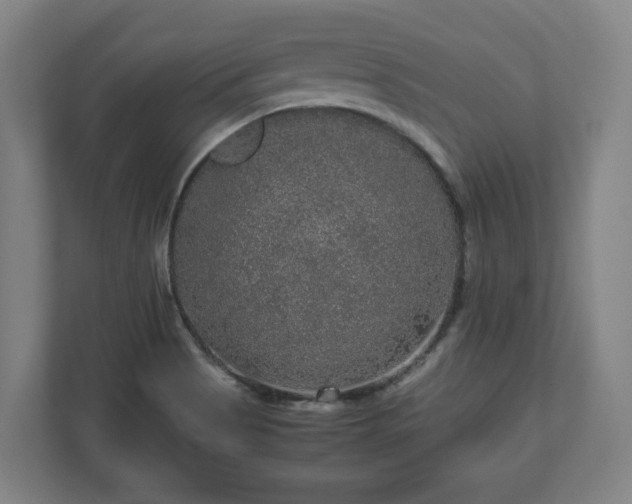 X0000111121513200907070947