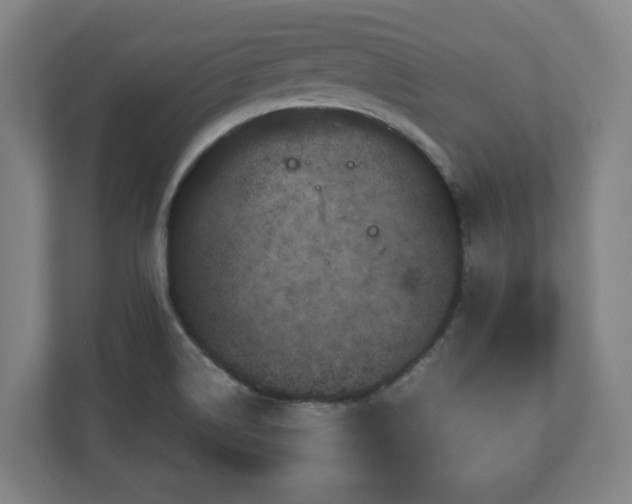 X0000111121514200907070947