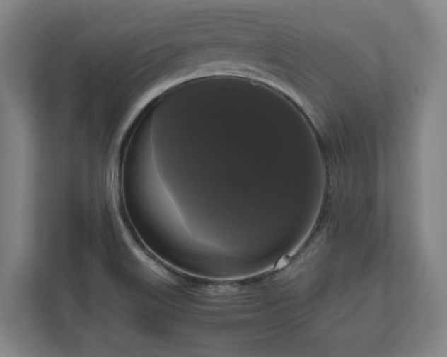 X0000111121515200907070947