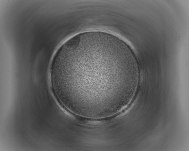 X0000111121517200907070947