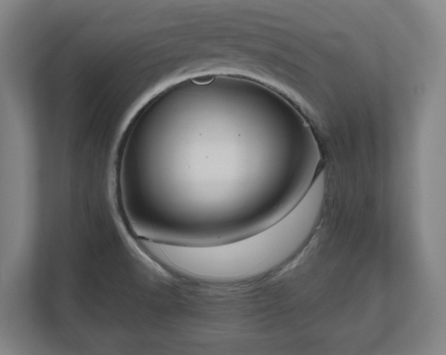 X0000111121518200907070947