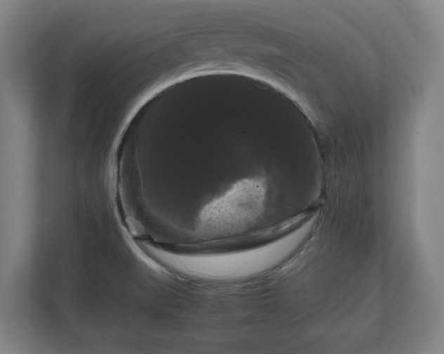 X0000111121519200907070947