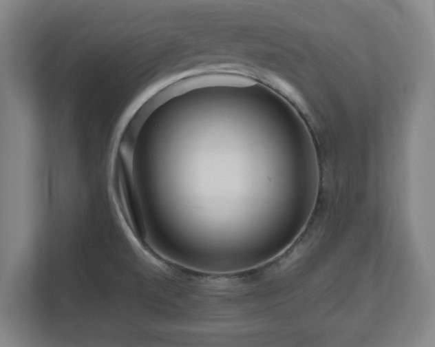 X0000111121520200907070947