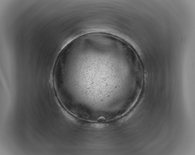 X0000111121521200907070947