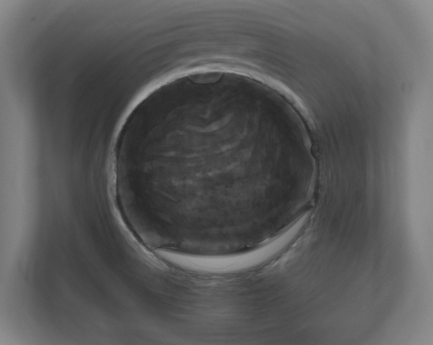 X0000111121522200907070947