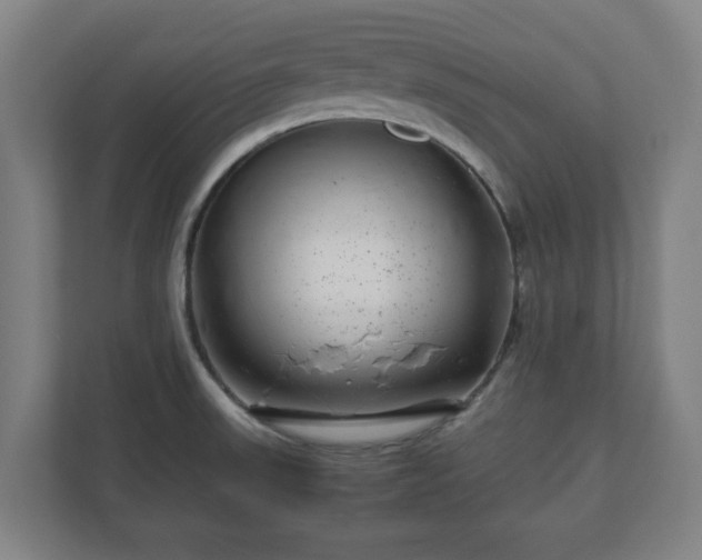 X0000111121523200907070947