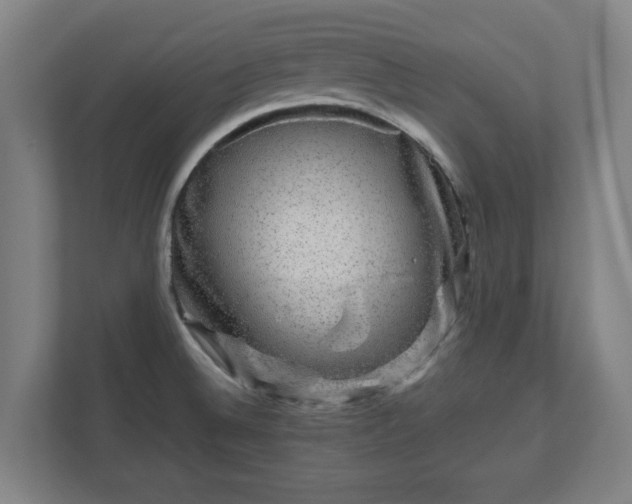 X0000111121524200907070947