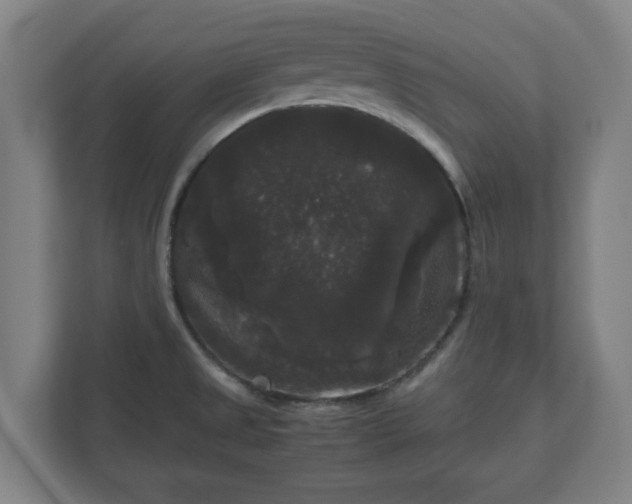 X0000111121525200907070947