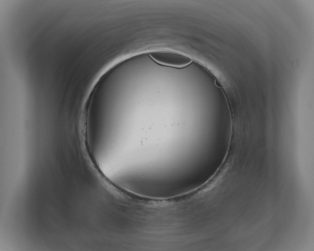 X0000111121526200907070947