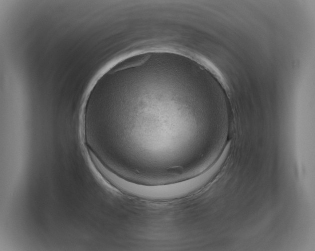 X0000111121528200907070947