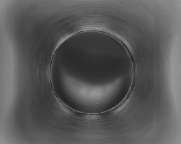 X0000111121529200907070947