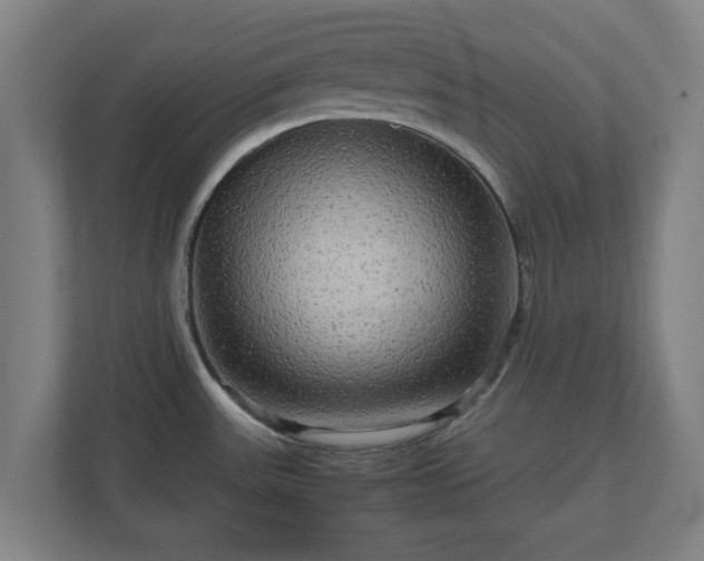 X0000111121531200907070947