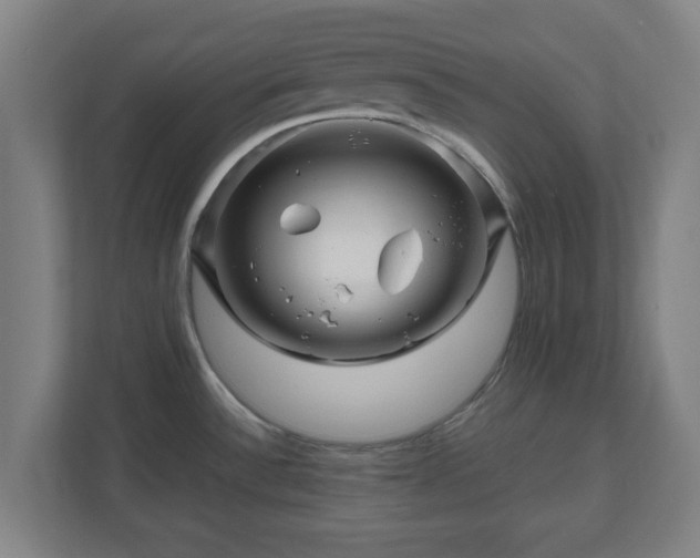 X0000111121532200907070947