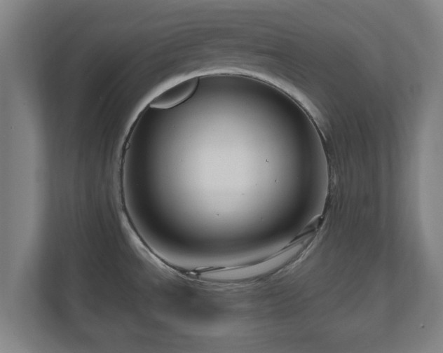 X0000111121534200907070947