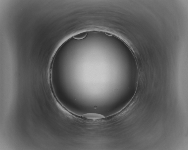 X0000111121535200907070947