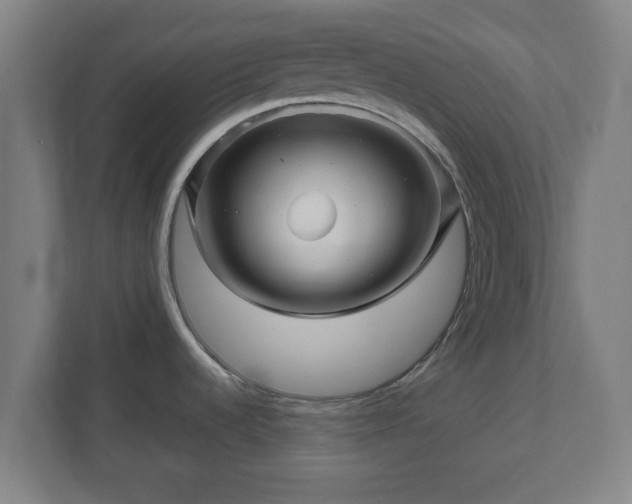 X0000111121536200907070947