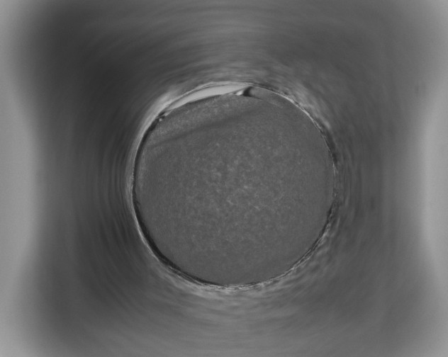 X0000111120003200907141200